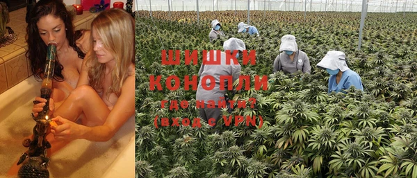 дурь Лиски