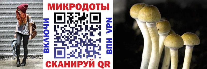 Купить закладки  Тарко-Сале  Псилоцибиновые грибы ЛСД 